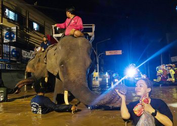 Flash flooding kills 3 people and two elephants in Thailand's tourist city of Chiang Mai