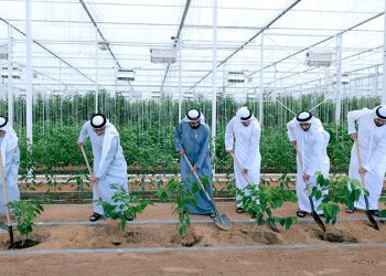 FAO appreciates launch of 'Plant the Emirates' programme