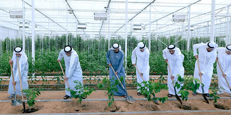 FAO appreciates launch of 'Plant the Emirates' programme