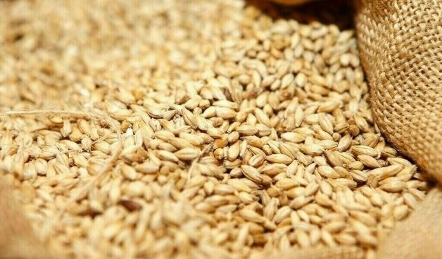 Algeria bars France from wheat import tender as relations sour
