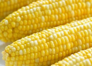 Corn, soy fall further on expectations for massive US harvest
