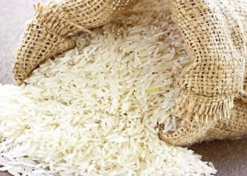 First Time in History Pakistan Earns $4 Billion in Rice Exports in 2024