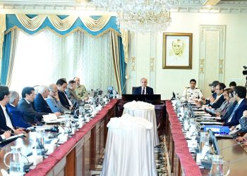 Govt approves termination of existing Power Purchase Agreement with five IPPs - Markets