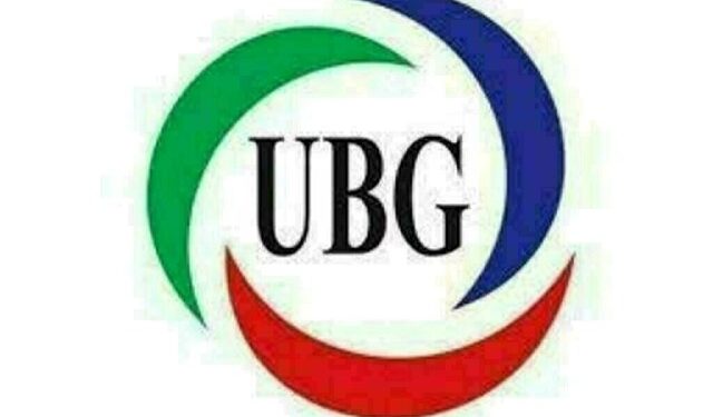 IMF loan not sufficient to overcome challenges: UBG patron-in-chief