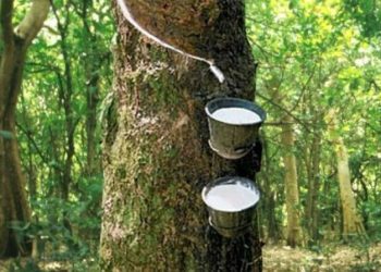 Japan rubber futures fall on supply prospects, set for weekly loss