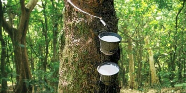 Japan rubber futures fall on supply prospects, set for weekly loss