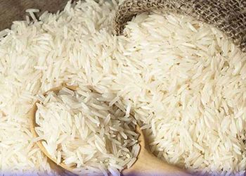 Pakistan’s Rice Exports Surge, Earning Over $720 Million in 3 Months