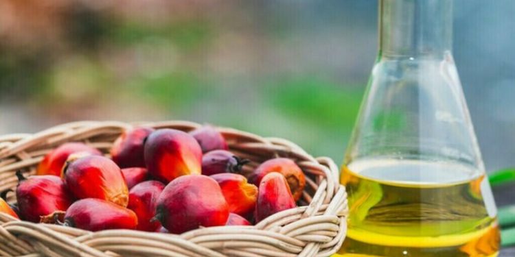 Palm oil opens up tracking Chicago soyoil, weaker ringgit - Markets