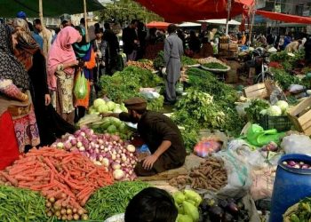Peshawar: prices of daily-use items show mixed trend