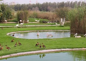 Sharjah's nature reserves are meant to protect wildlife, not for people to stroll around, says Sheikh Sultan