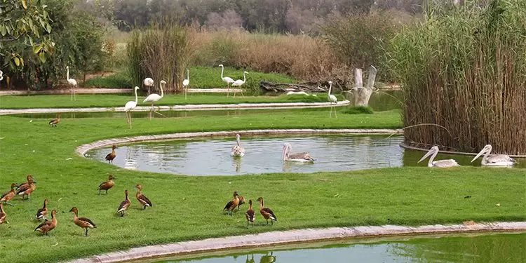 Sharjah's nature reserves are meant to protect wildlife, not for people to stroll around, says Sheikh Sultan