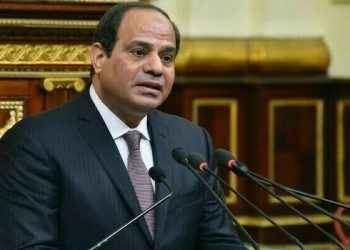 Sisi says ‘pressure’ on Egyptians could call for IMF deal review