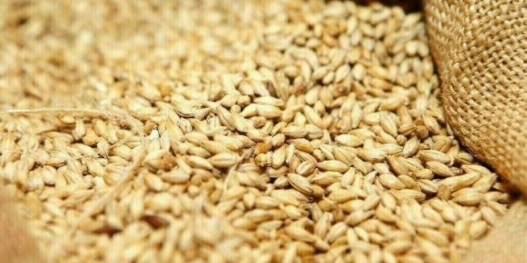 Wheat firms, set for 3rd week of gains on supply worries