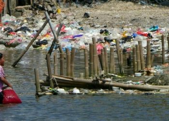 Deep divisions on display at plastic pollution treaty talks