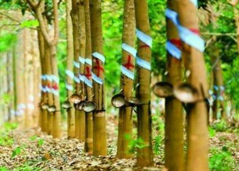 Japan rubber futures close higher on weaker yen, but post weekly fall