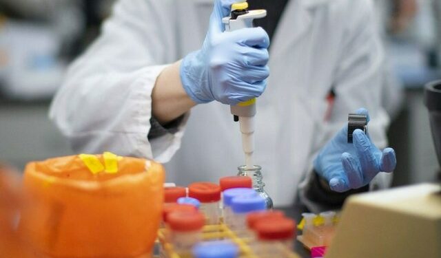 Scientists announce progress toward ambitious atlas of human cells