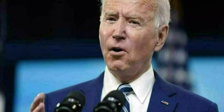 Biden signs 50 bills into law, makes bald eagle the country’s official bird