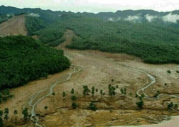 Death toll rises to 29 in southern Thailand floods