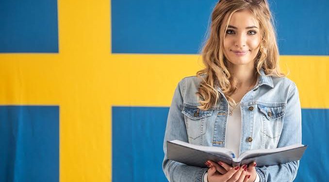 Fully Funded Scholarship Announces for International Master’s Students in Sweden