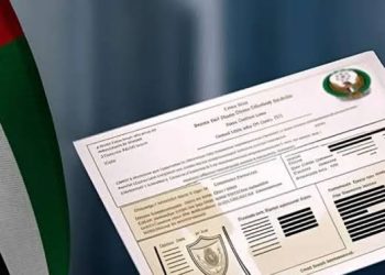 Here’s How to Get a Police Character Certificate and E-Protector for UAE Work Visa!