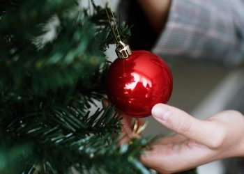 I got my first Christmas tree at 42. I might never take it down.