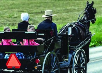 the amish commonly travel by horse buggy photo dw