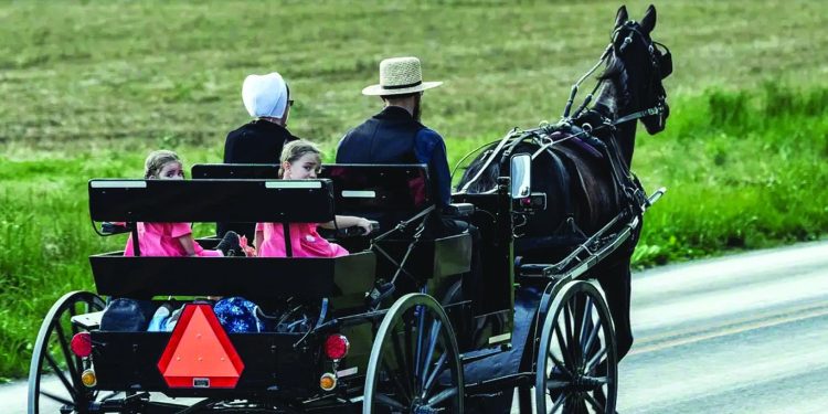 the amish commonly travel by horse buggy photo dw