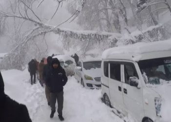 Murree Receives Much-Awaited Snowfall