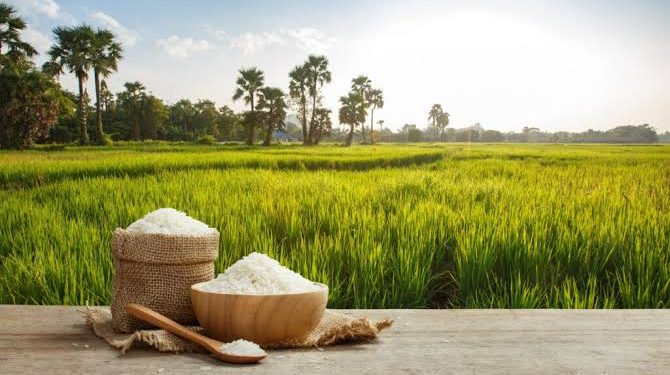 Pakistani Rice Exports to Saudi Arabia Surge by 25%, Hitting Total $4 Billion in 2024