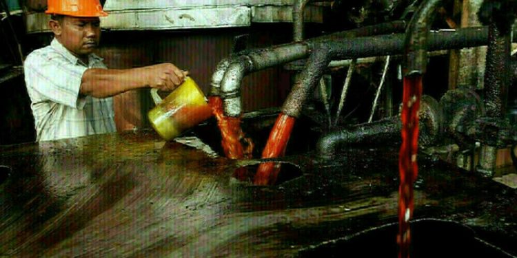 Palm falls on weakness of rival Dalian oils