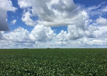 Report highlights renewed focus on agri sector