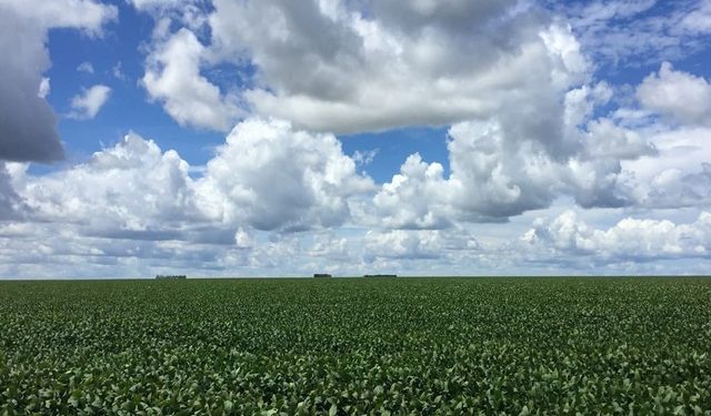 Report highlights renewed focus on agri sector