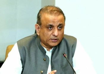 SOEs’ sell-off aimed at unburdening kitty: Aleem