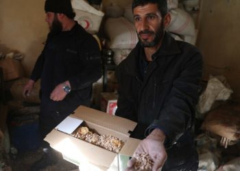 Syria authorities say torched 1 million captagon pills