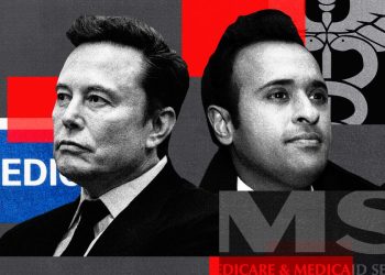 The door is open for Musk's DOGE to achieve a quick win: slashing billions of dollars in fraud in federal programs like Medicare