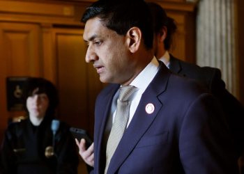 These Democrats aren't fully dismissing DOGE. It could give Elon Musk and Vivek Ramaswamy a serious bipartisan boost.