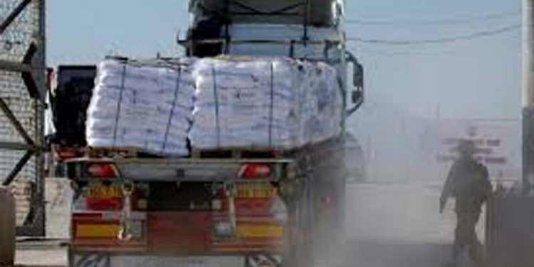 Two killed in Gaza as aid convoy looted: WFP