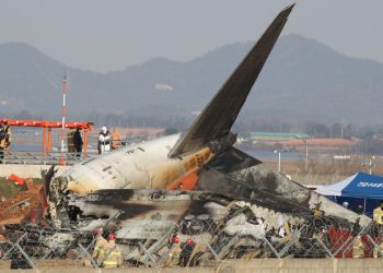What data shows about surviving a plane crash