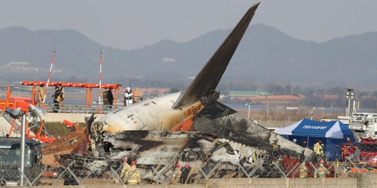 What data shows about surviving a plane crash