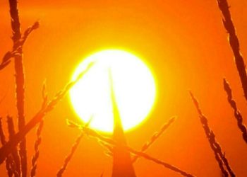 2024 was China’s hottest year on record: weather agency