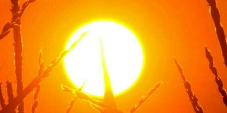 2024 was China’s hottest year on record: weather agency