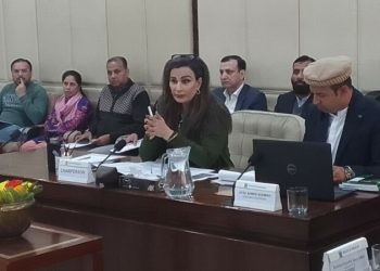 Climate change: Senate committee pushes for ‘stronger’ renewable energy, EV initiatives - Markets