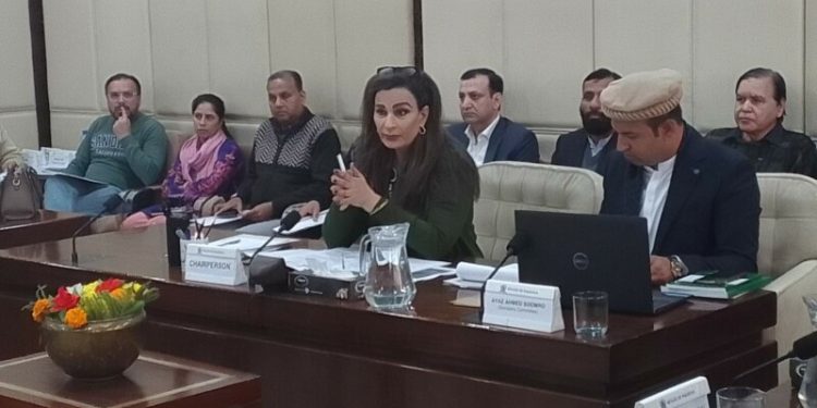 Climate change: Senate committee pushes for ‘stronger’ renewable energy, EV initiatives - Markets