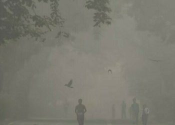 Dense fog over Indian capital delays flights, trains