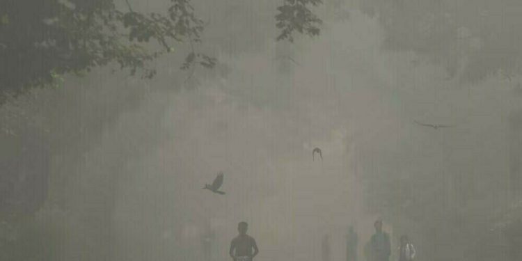 Dense fog over Indian capital delays flights, trains