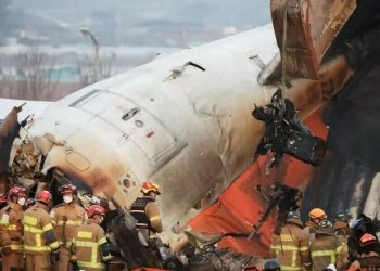 Duck DNA in both engines of Jeju Air plane that crashed, report says
