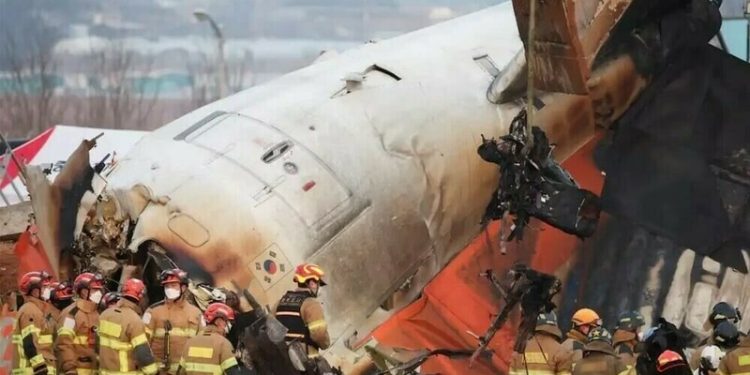 Duck DNA in both engines of Jeju Air plane that crashed, report says