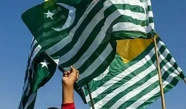 Kashmiris stage protest against India outside its embassy in Brussels