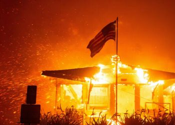 Los Angeles wildfires in figures