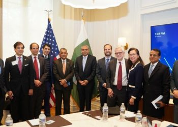 Naqvi assures resolution of US companies issues